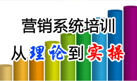 營銷系統(tǒng)培訓(xùn)：從理論到實(shí)操