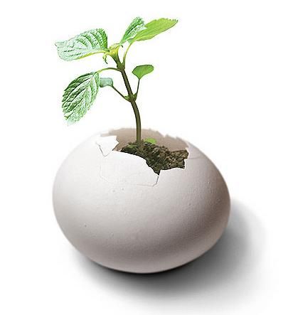 我和我的小伙伴從Iphone5s看創(chuàng)新管理