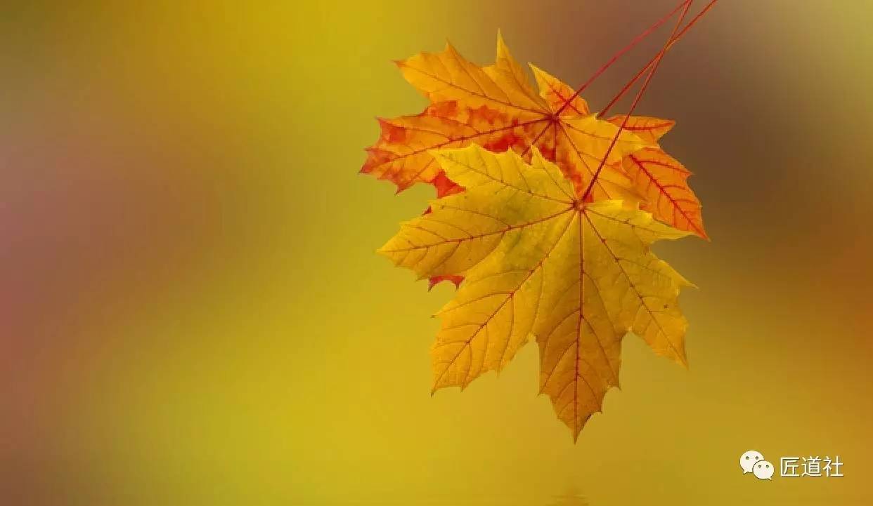 蔣小華：你的品格與修養(yǎng)，為何一看便知？